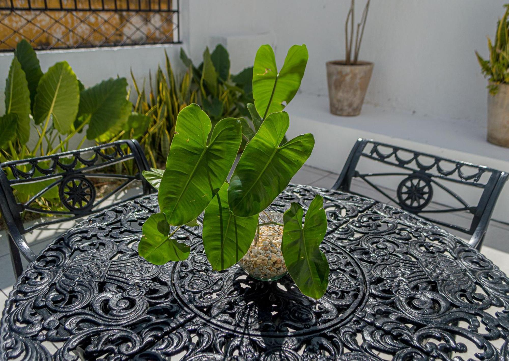 Hotel Boutique Casa Xaan Valladolid  Luaran gambar